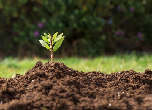 Los cultivadores de tabaco piden la transposición de la directiva