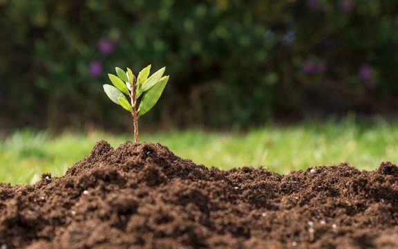 Los cultivadores de tabaco piden la transposición de la directiva