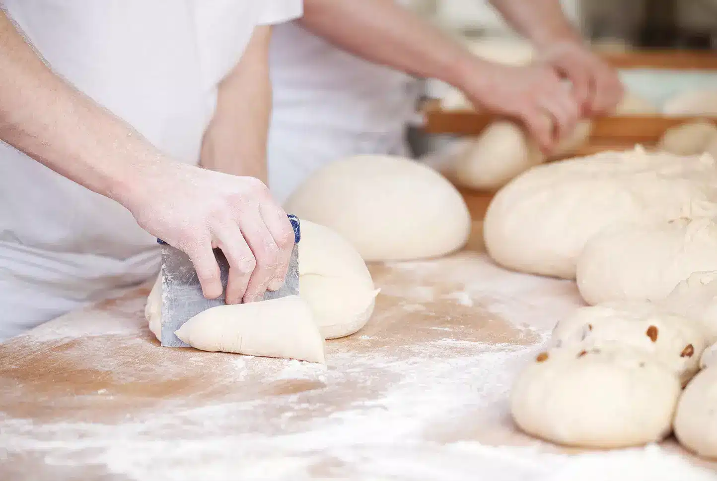 Header_Pastelerias-y-Panaderias Header_Pastelerias-y-Panaderias