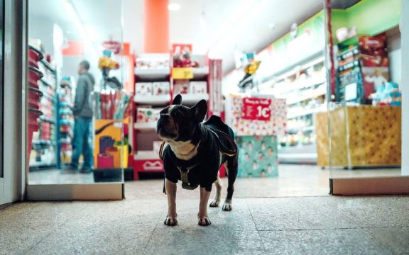 Ideas de marketing para tiendas de mascotas